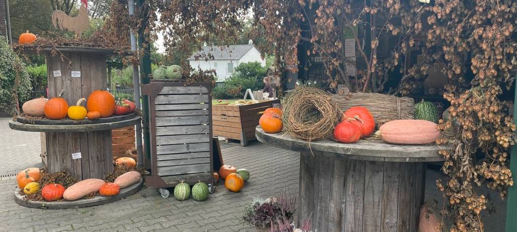Ausflug ins Maislabyrinth auf Hof Mertin