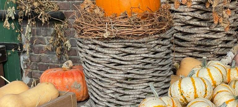 Ausflug ins Maislabyrinth auf Hof Mertin