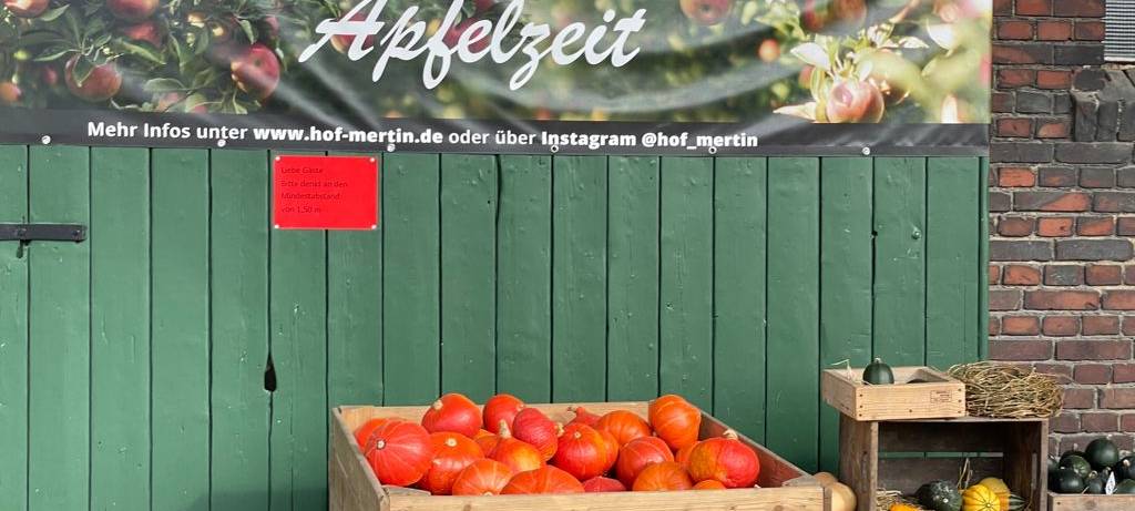 Ausflug ins Maislabyrinth auf Hof Mertin