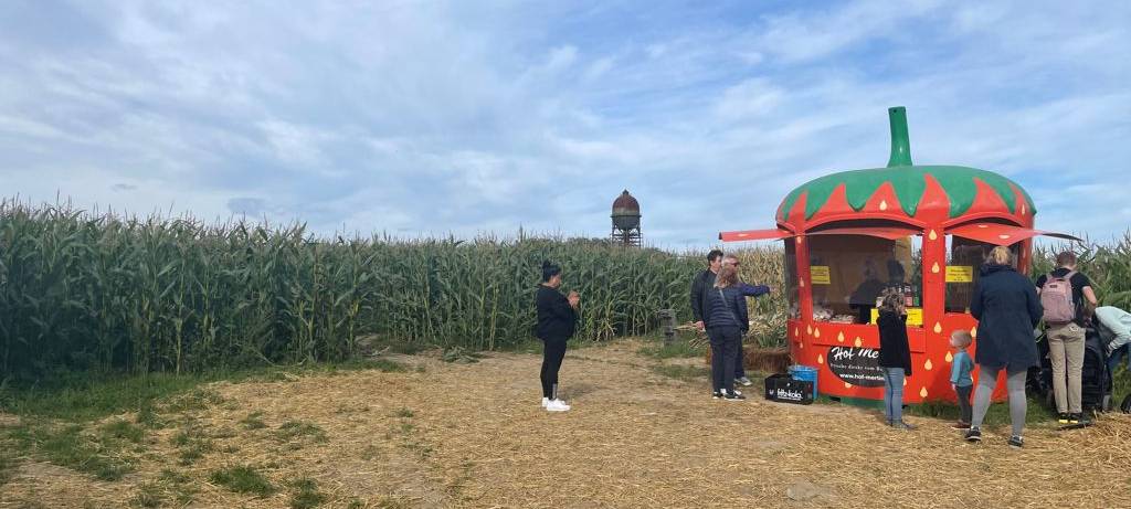 Ausflug ins Maislabyrinth auf Hof Mertin