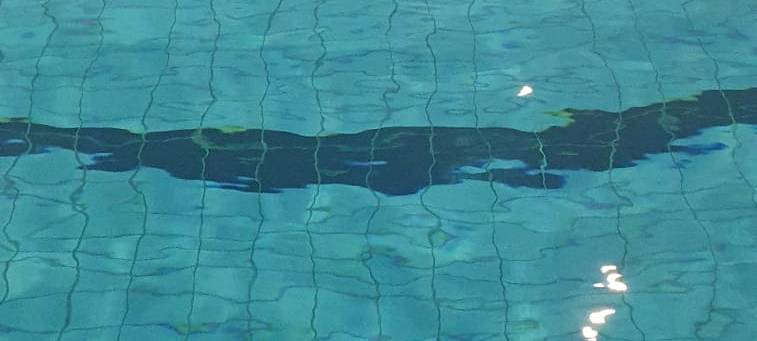 Dortmund: Großeinsatz im Hallenbad in Brackel