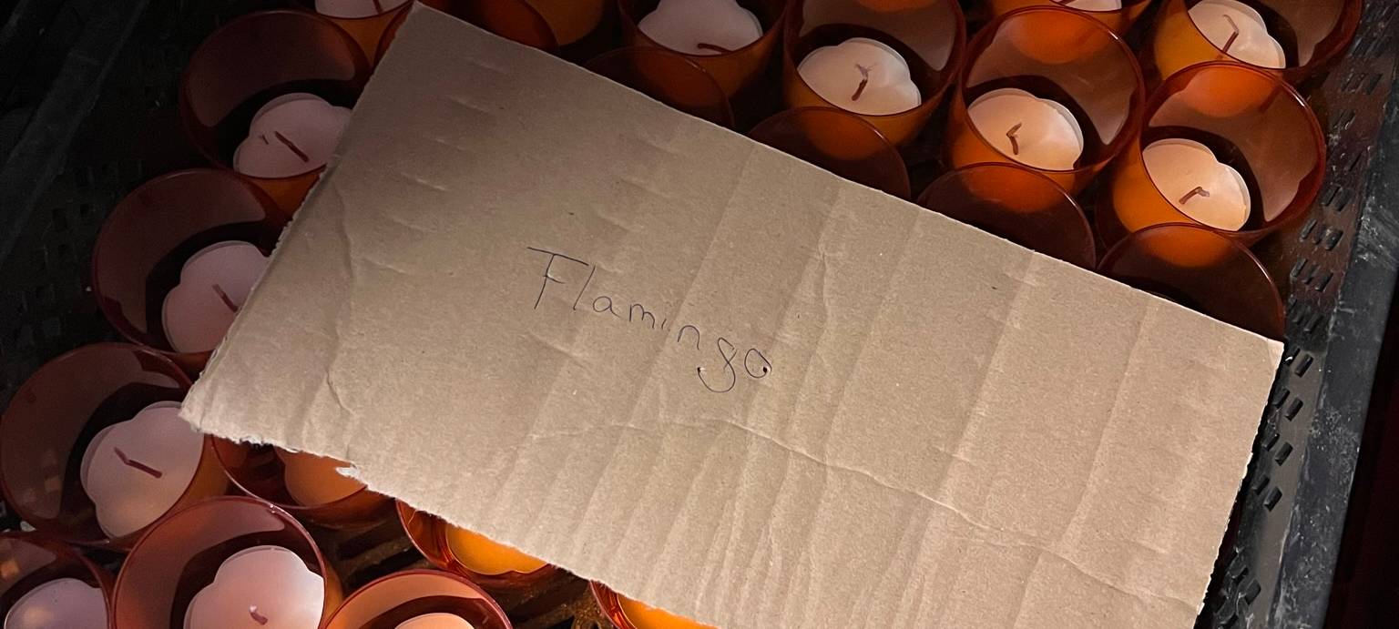 Viel Neues beim Lichterfest im Westfalenpark Dortmund