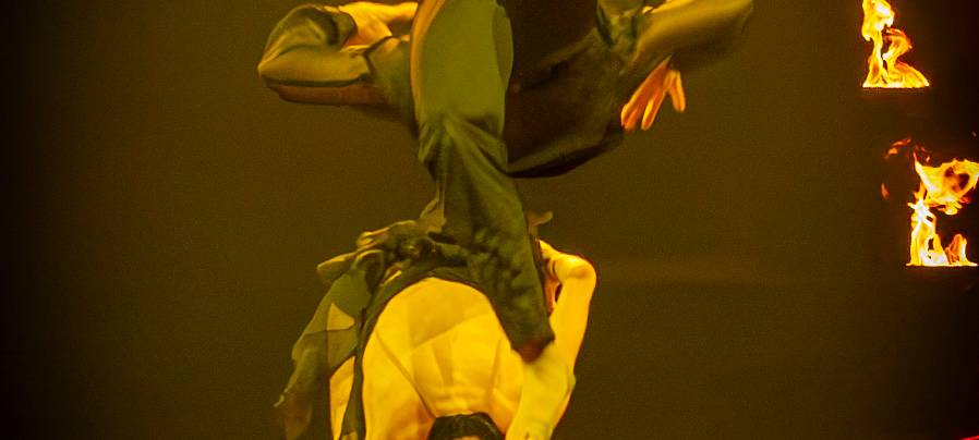 Let's Dance - Die Live Tour 2025