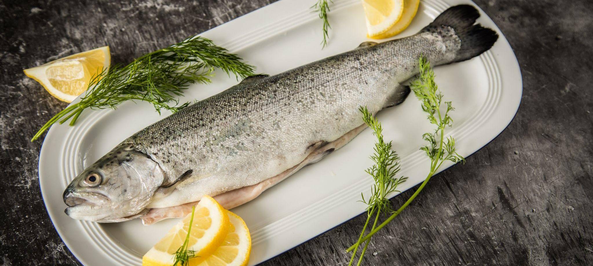 Eine Forelle auf einem Teller