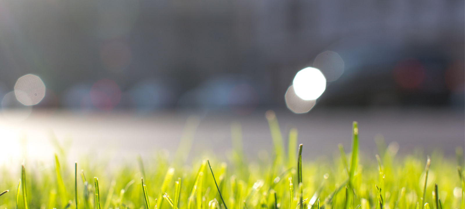 Dortmund will grünere und klimaresistentere Gewerbegebiete