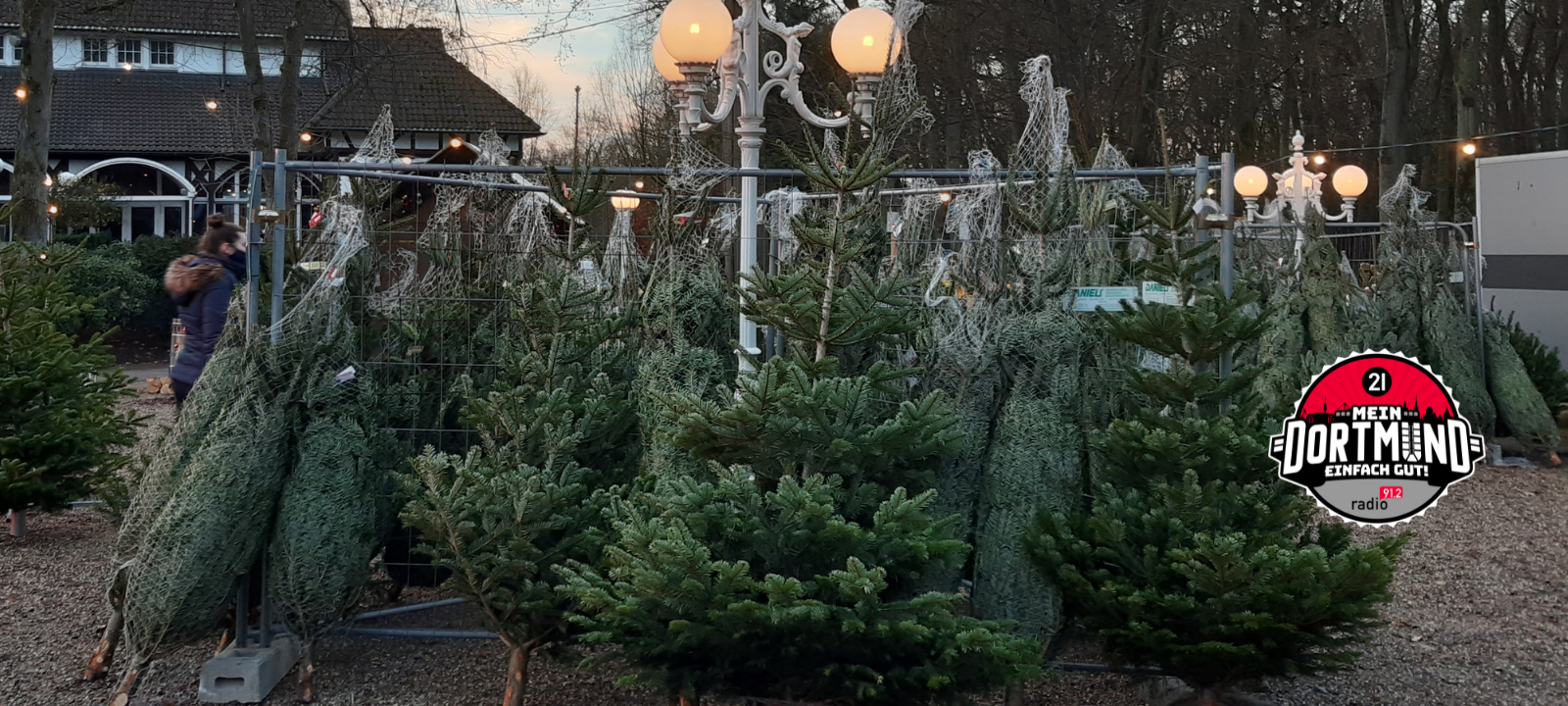 Dortmund: Weihnachtsbaum kaufen und die Aktion Lichtblicke unterstützen