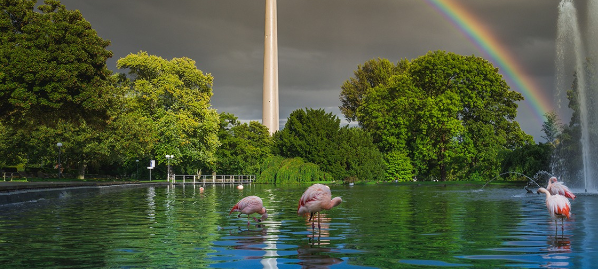 Jahresprogramm im Dortmunder Westfalenpark