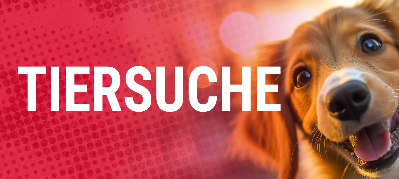 Tiersuche