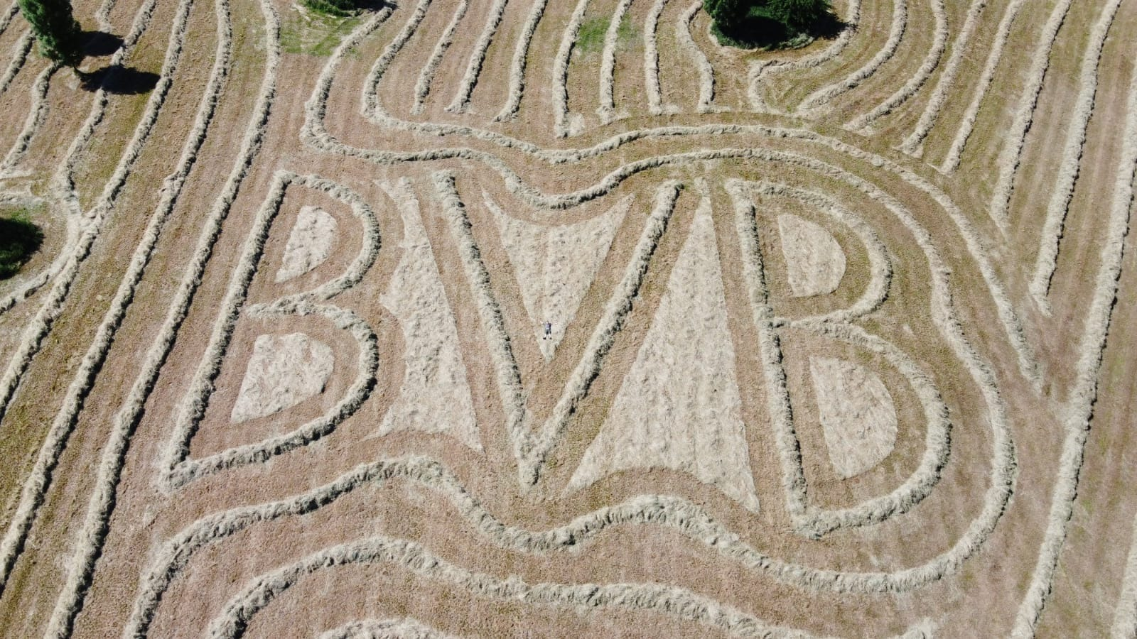 Bvb Fan Schwadet Bvb Logo In Wiese In Waltrop Radio 91 2